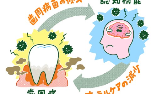 甘蓝起什么作用-甘蓝效果网 - 甘蓝的10种吃法大全,甘蓝的好处与坏处